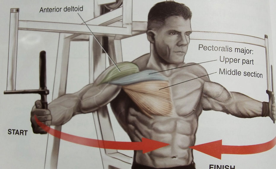 boob man exercises chest