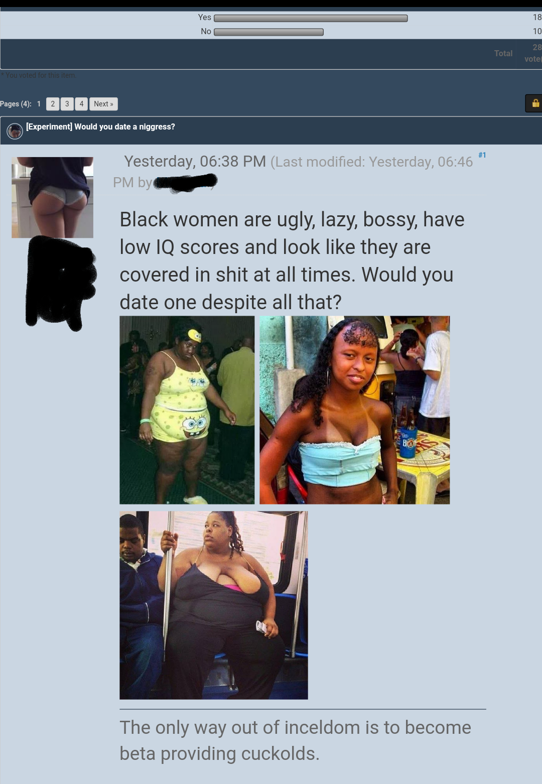 racist fuck ebony